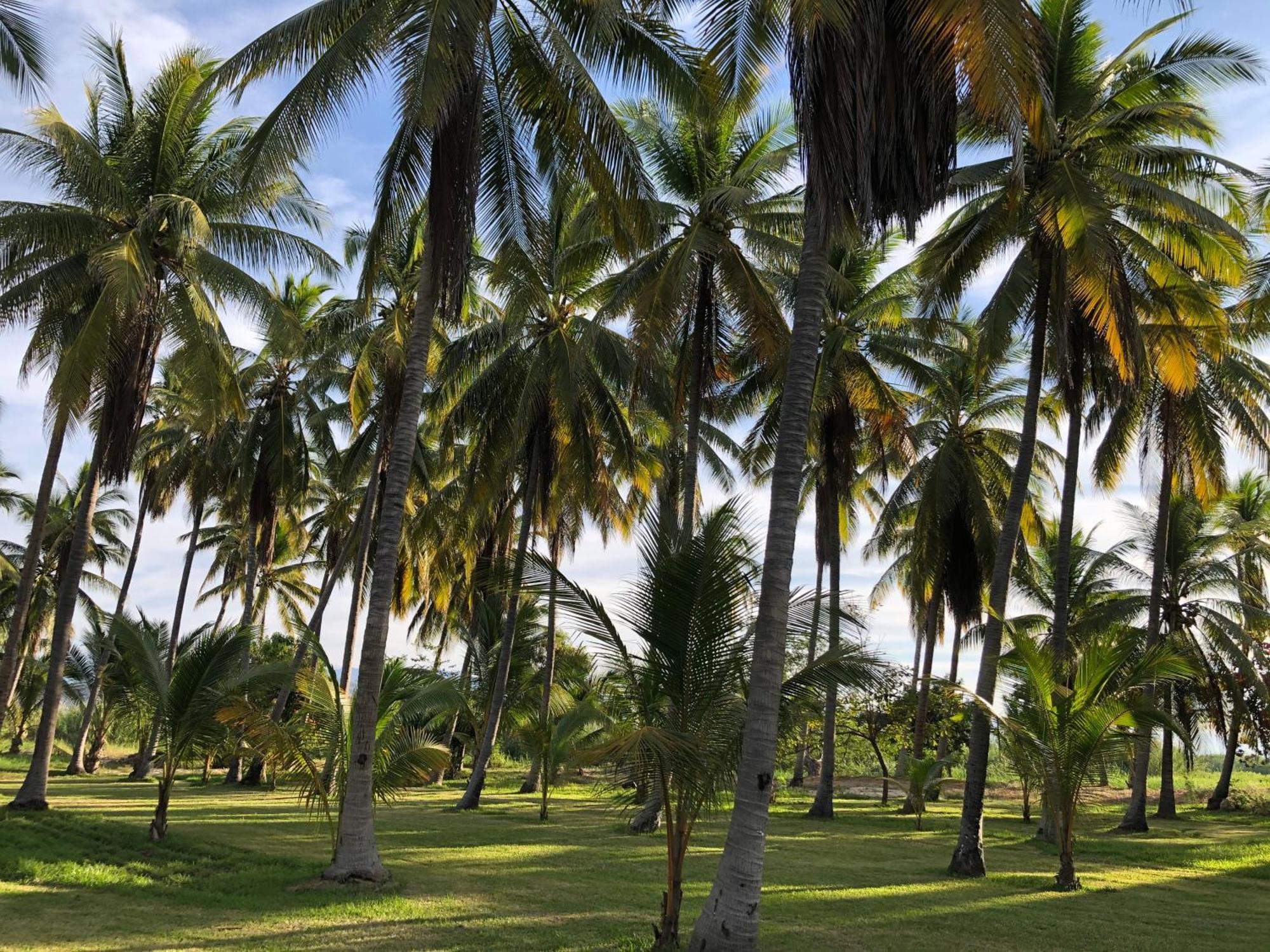 Casa Kundavi Beach Front Paradise Recado Eksteriør bilde