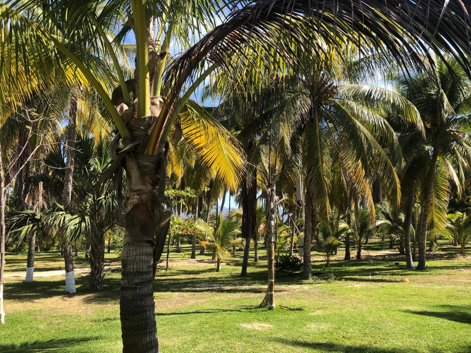 Casa Kundavi Beach Front Paradise Recado Eksteriør bilde
